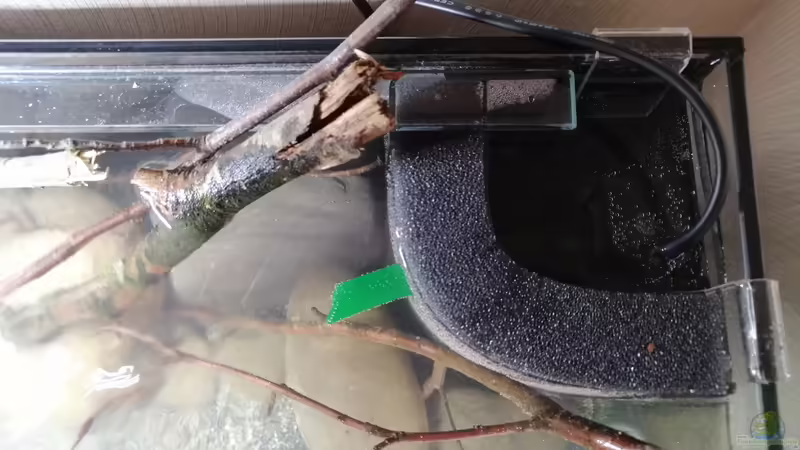 HMF mit 120L/h Zimmerbrunnenpumpe von Tim Buktu (9)