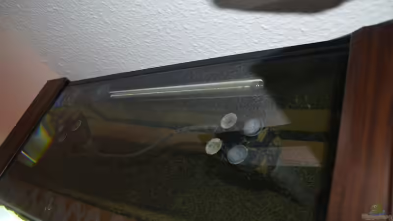 HMF mit den zwei JBL-Pumpen von Lordi (7)