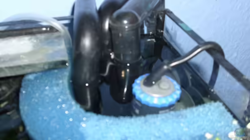 HMF mit Filtereinlauf und Stabheizer von deBouwer (22)