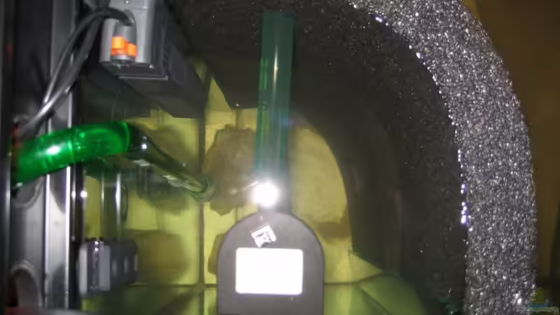 HMF mit Powerhead 1700l/h von MAGNUM (10)