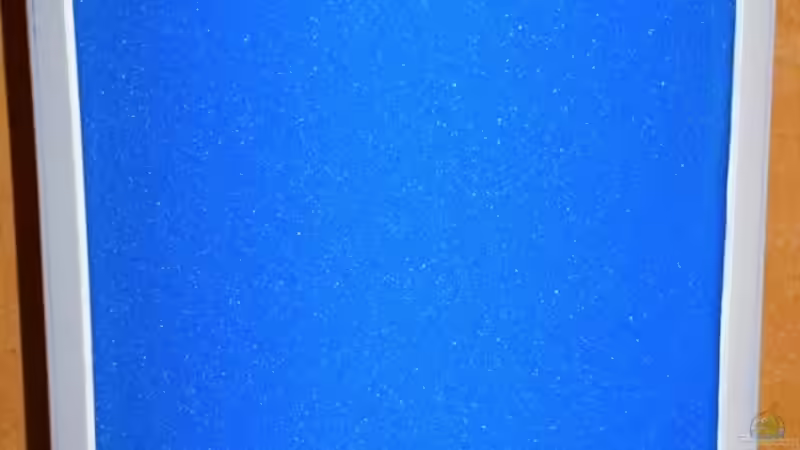 HMF-mit Pumpe Aqua Clear Powerhead 802  von JOHN (24)