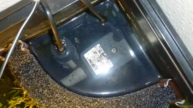 HMF mit Pumpe und Heizstab von DieDa84 (13)