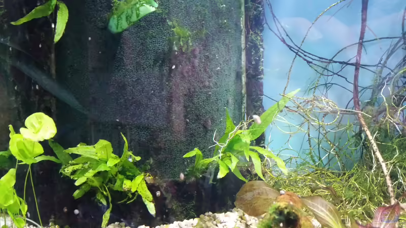 HMF mit Verkleidung und Kiesblende gebastelt aus einer Juwelrückwand von Gigi (12)