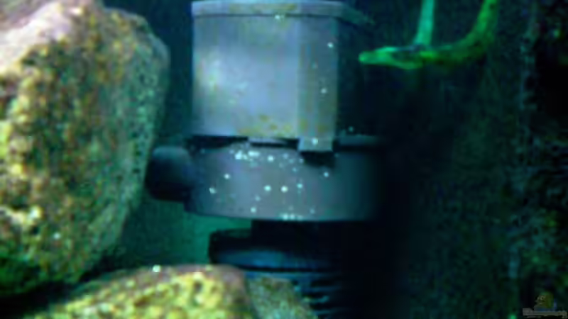 HMF mit zwei Pumpenausläufen und Schnellfilter von timme (35)