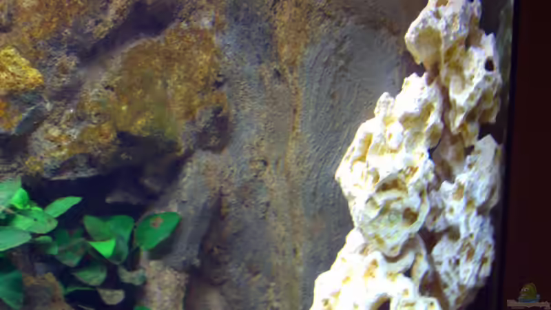 HMF nach fast einen Monat von Markus Hütte (17)