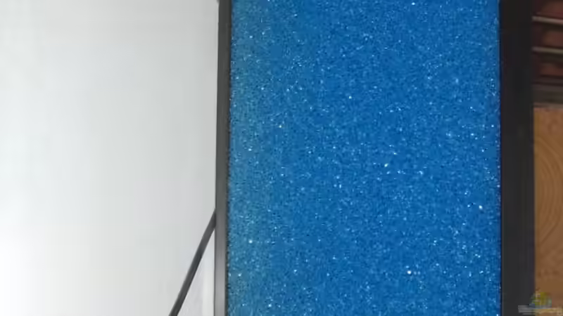 HMF noch ohne Javamoos von Melanie (11)