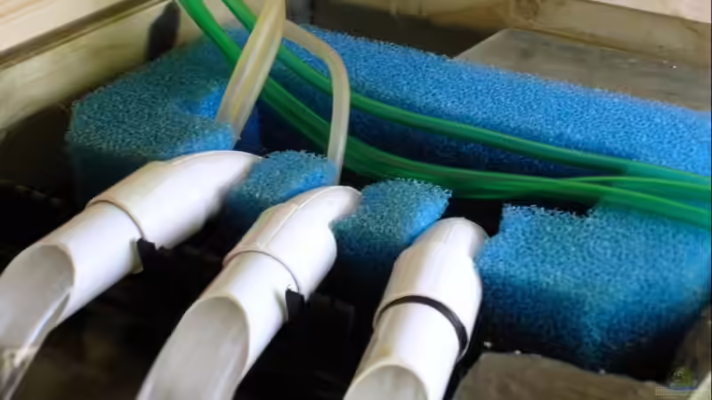 HMF P60-3 linke Seite von stonis-home (23)