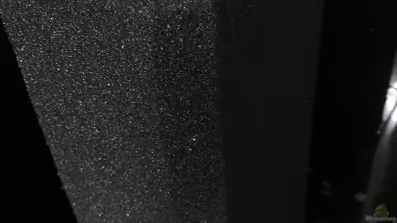 HMF Reaktor von Cichliden-Kabuff (15)