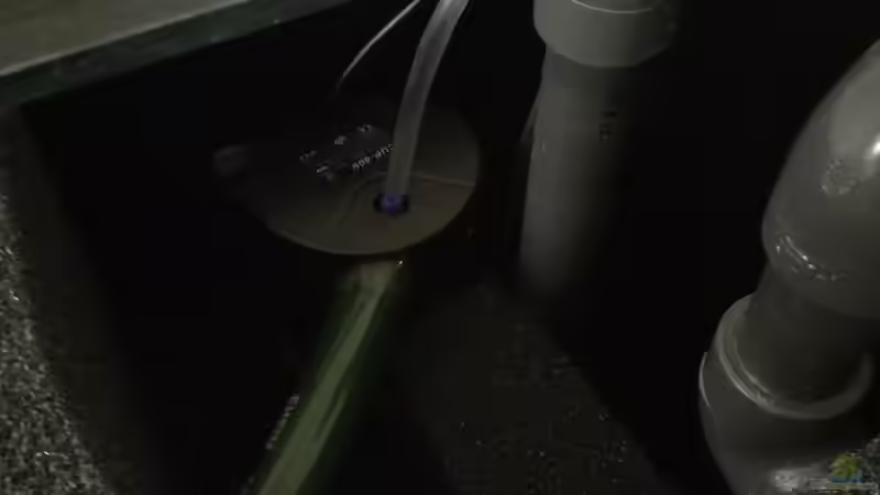 HMF rechts und links werden von Innenfilter mit je 9W UVC Klärer betrieben von Andreas Rieger (14)