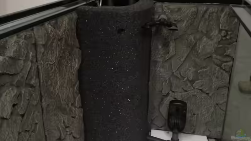 HMF rechts von Andreas Rieger (12)