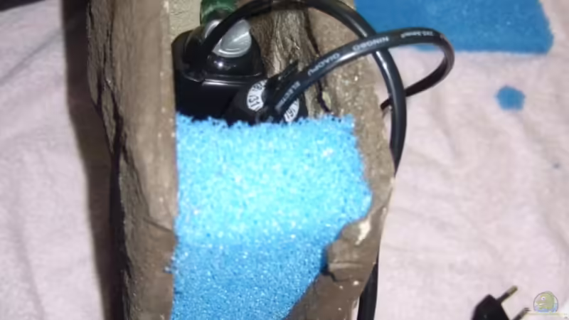 HMF seitlich von Alex Stark (8)