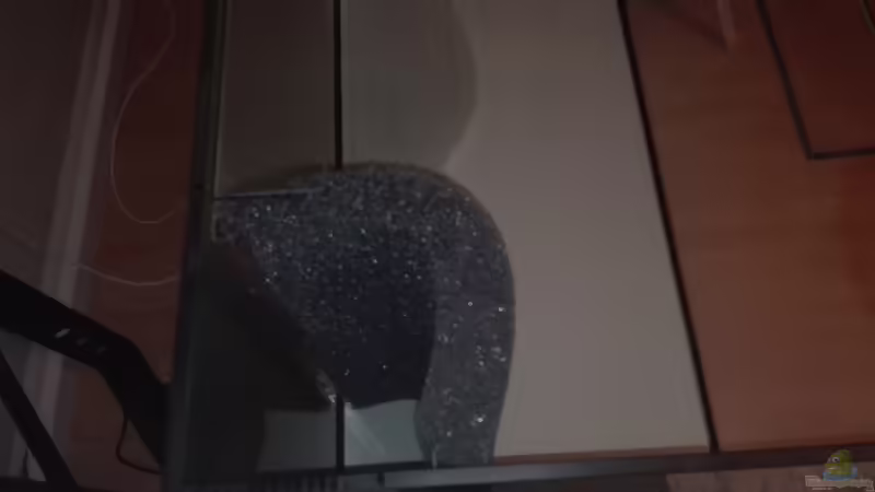 HMF selber gebaut (die Freundin) von seb (36)