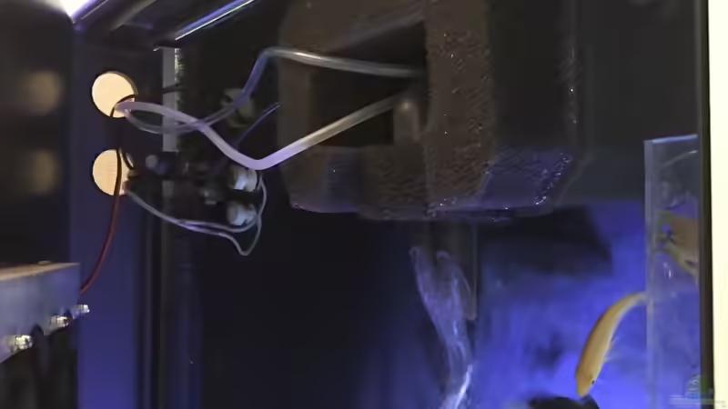 HMF und Tunze e-Jet (nicht mehr vorhanden) von skipper1202 (22)