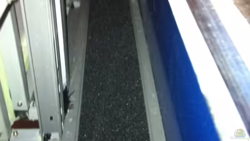 HMF von Andriko (38)