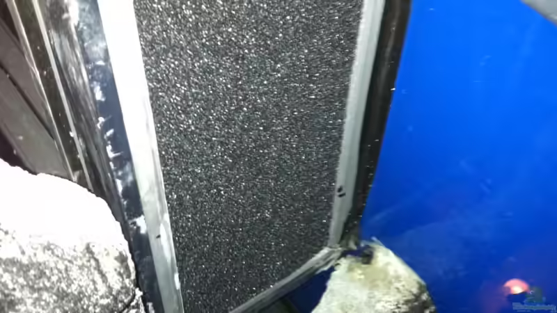 HMF von Andriko (39)