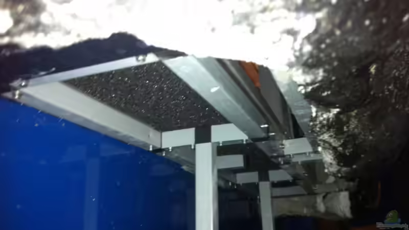 HMF von Andriko (41)