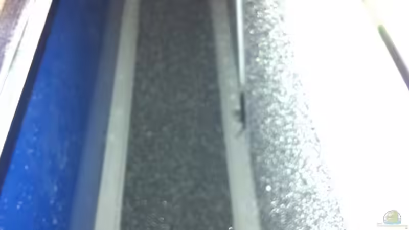 HMF von Andriko (42)