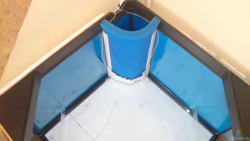 HMF von Andy_daHousecat (27)