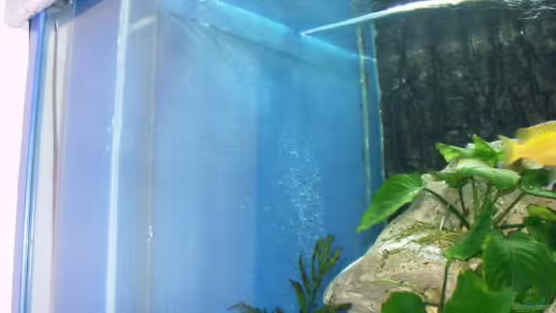 HMF von Daniel Hieber (12)