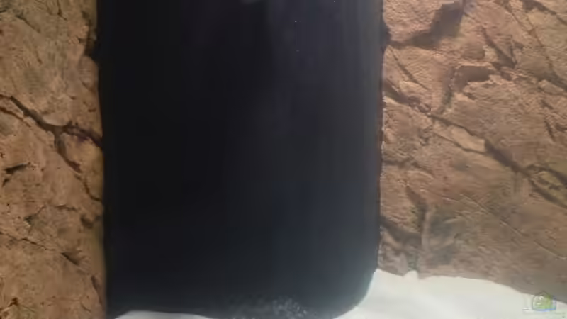 HMF von Der Dortmunder (4)