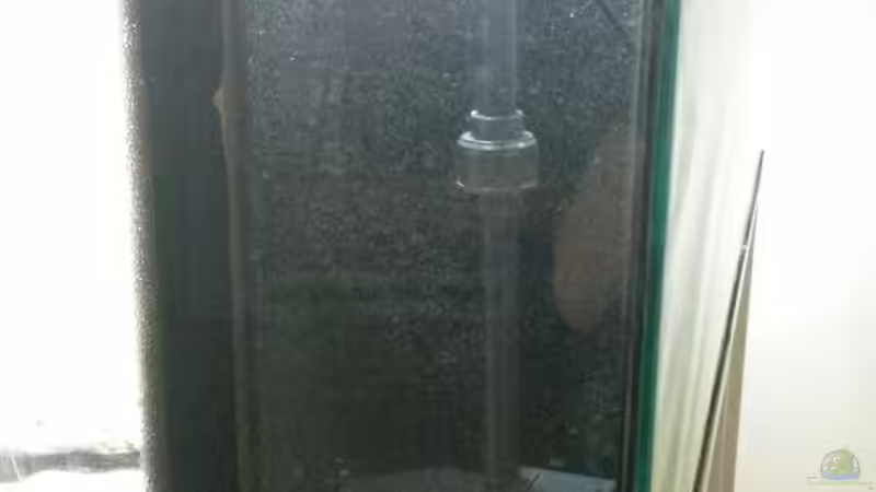 HMF von der noch durchsichtigen Scheibe mit der Eheim Pumpe. Es soll noch ein Silikonschlauch von Beulenkopftyp (12)