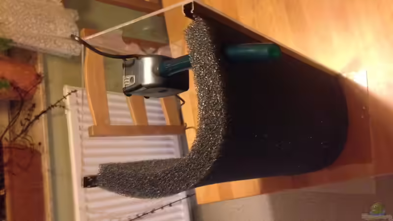 HMF von Dominik Wexenberger (21)