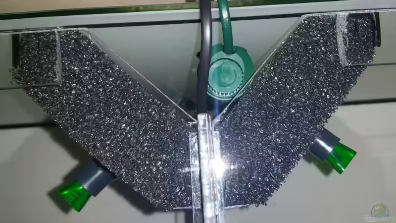 HMF von Lucky3310 (26)