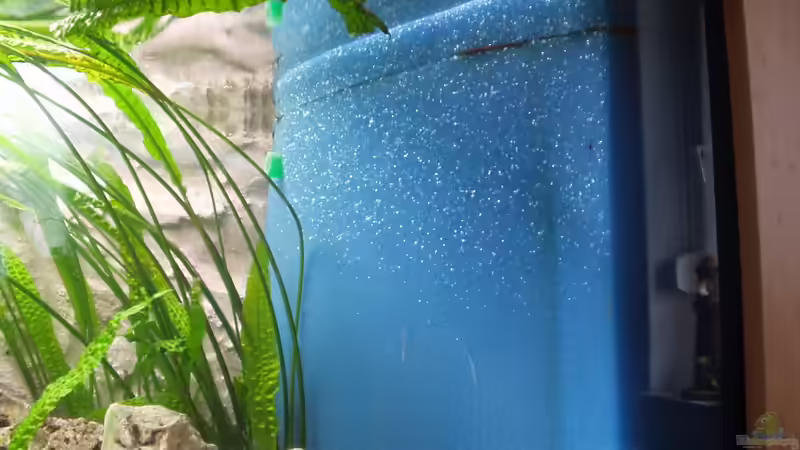 HMF von Manfred Fink (2)