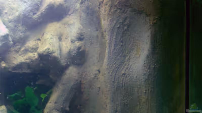 HMF von Markus Hütte (14)