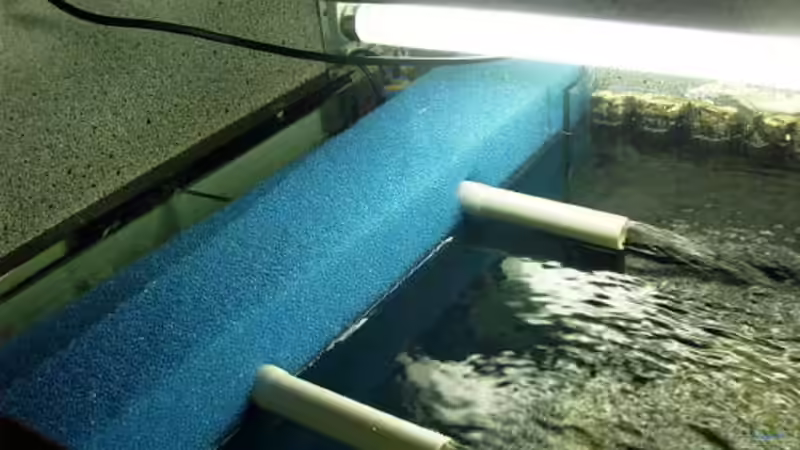 HMF von oben von Daniel Hieber (11)