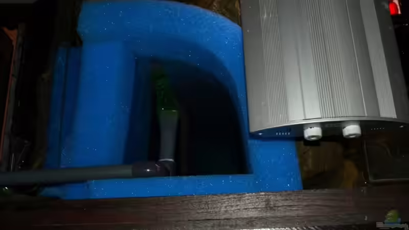 HMF von oben von JOHN (4)