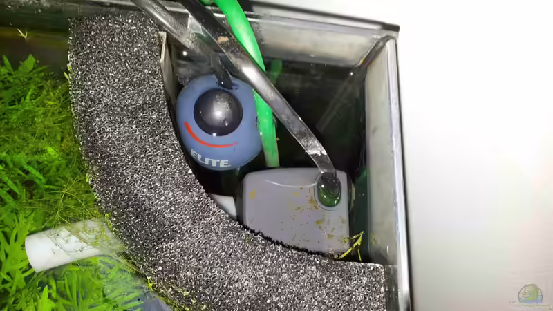 HMF von oben von Mac W (9)