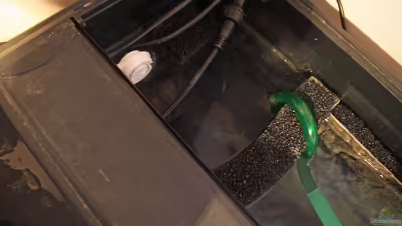 HMF von oben von MHu (9)