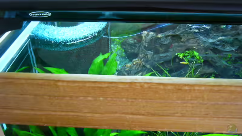 HMF von oben von Oliver Gursky (12)