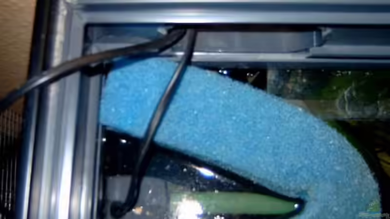 HMF von oben von Patricia Brandt (5)