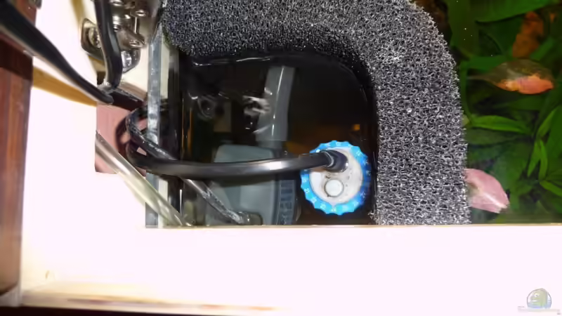 HMF von oben von Stefan J. (4)