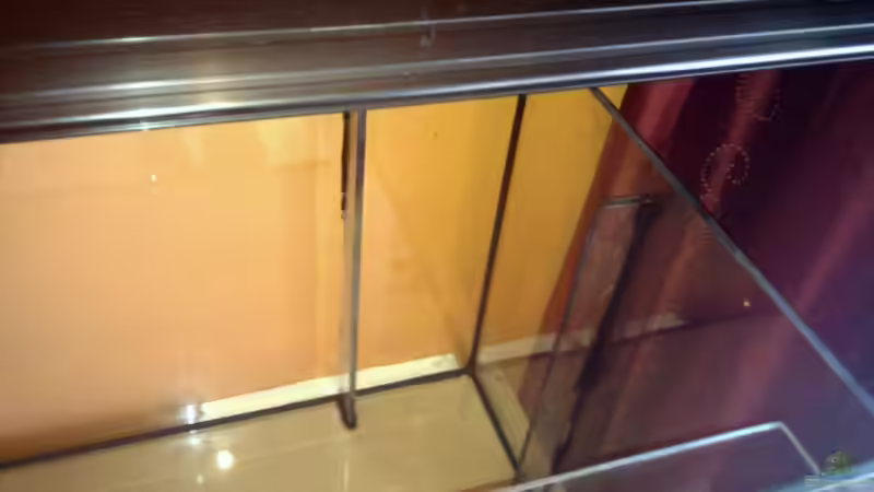 HMF von Solitary (5)