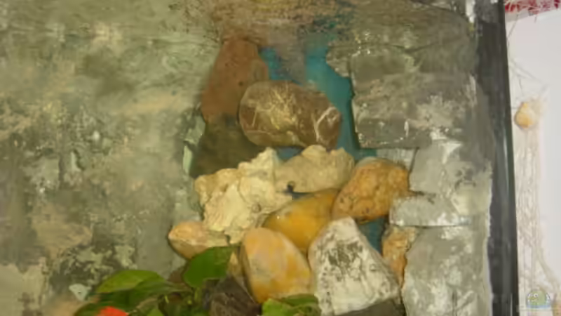 HMF von Thomas Krahmer (14)