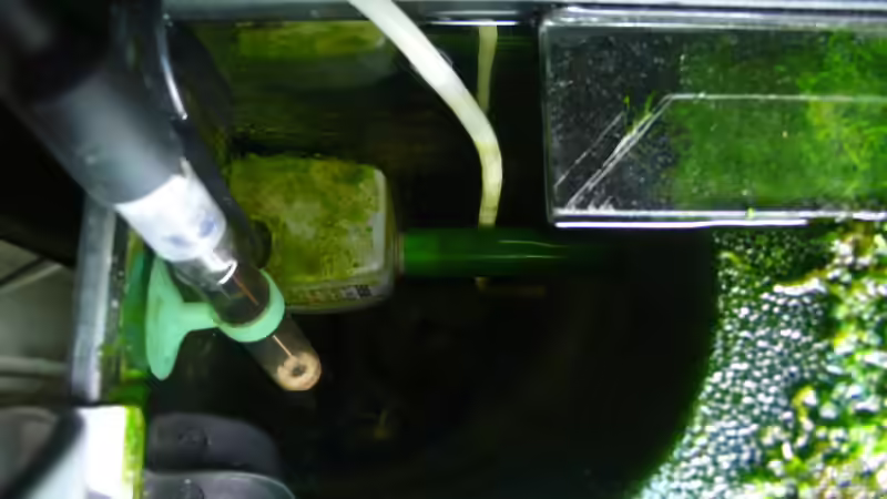 HMF von Torsten Franke (20)