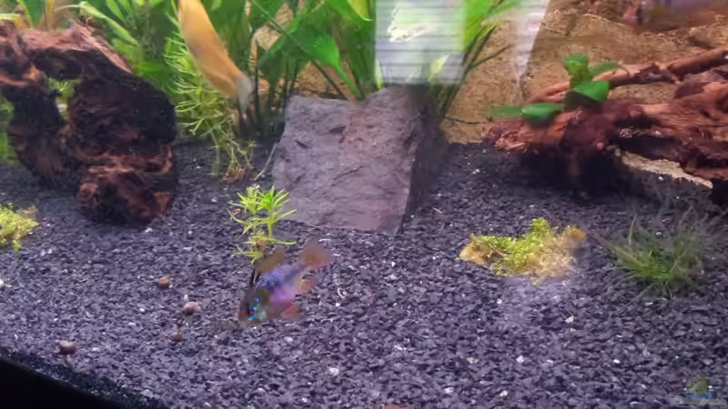 hmmm was gibts den da ?? von Gokel79 (18)