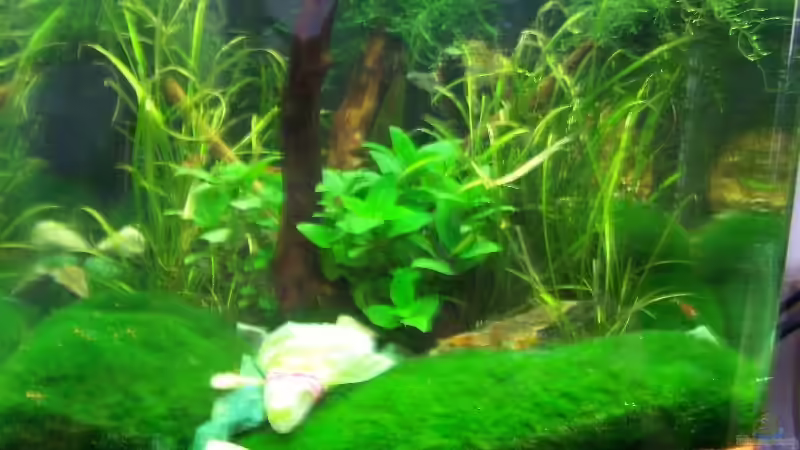 hmmmmm da gibts Salat :D von Dani B (6)