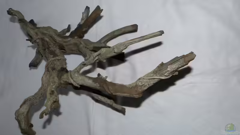 Hobby Deko Wood 4 von ~Marco~ (39)