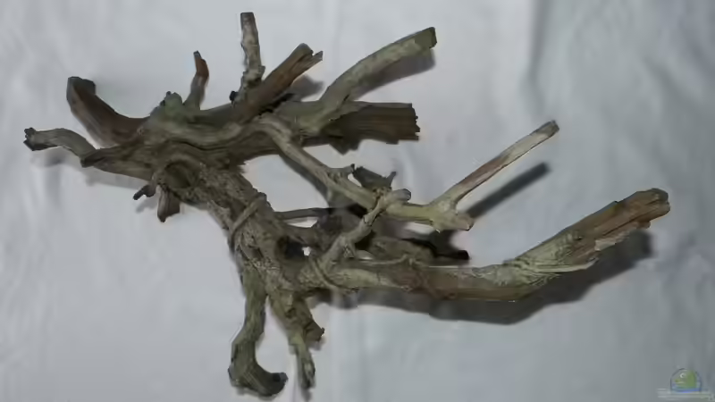 Hobby Deko Wood 4 von ~Marco~ (40)