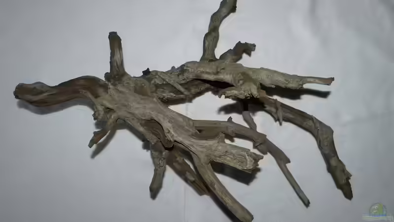 Hobby Deko Wood 4 von ~Marco~ (41)