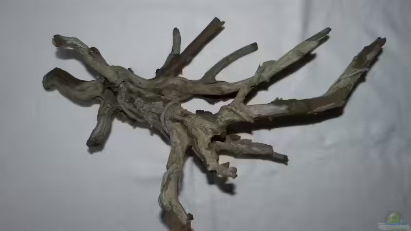 Hobby Deko Wood 4 von ~Marco~ (42)