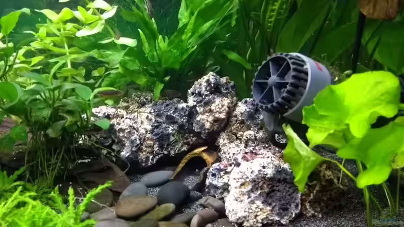 Hobby Grotten Keramik Puzzle und Strömungspumpe von Stephy (19)