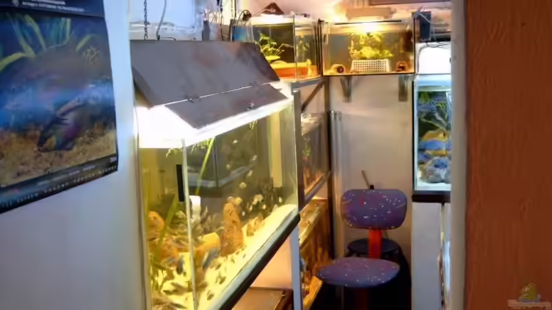 Hobbykeller von Helgo Jacob (18)