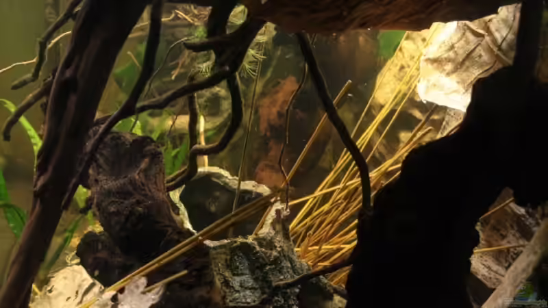 Hochkant Aussenscheibe rechts ! von Florian Bandhauer (13)