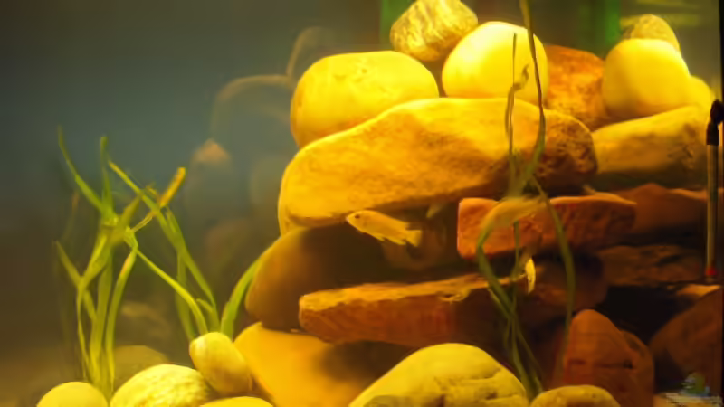 Höhen Rechts von Hanse79 (6)