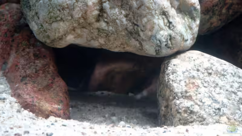 Höhle 1 von Johannes Loers (4)